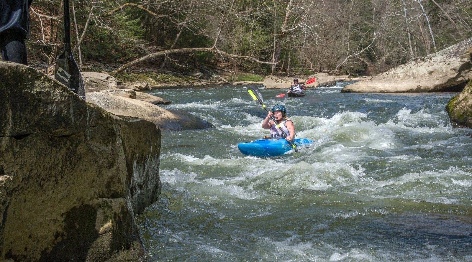DSC_3550.jpg