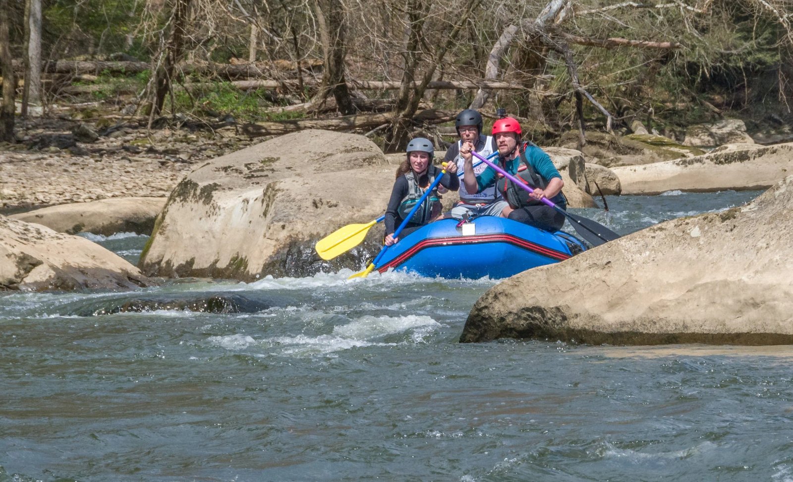 DSC_3616.jpg